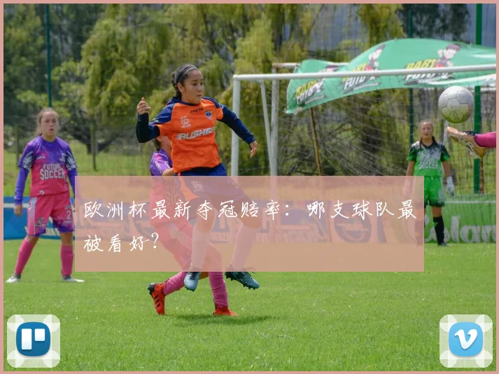 欧洲杯最新夺冠赔率：哪支球队最被看好？