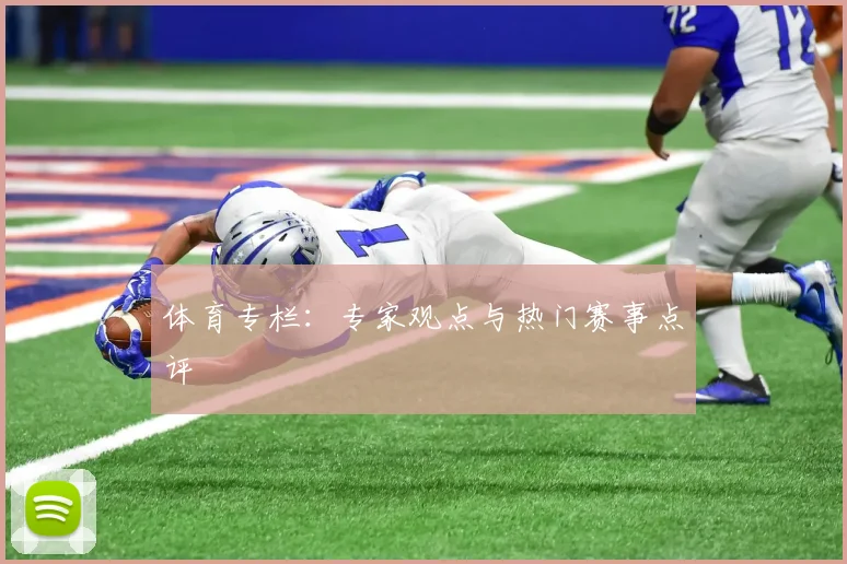 体育专栏：专家观点与热门赛事点评