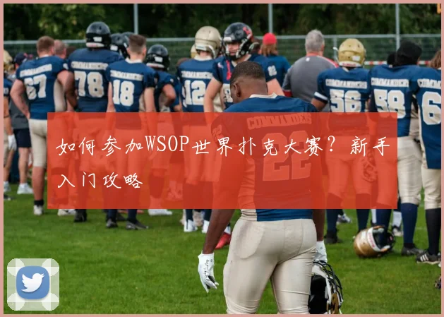 如何参加WSOP世界扑克大赛?新手入门攻略