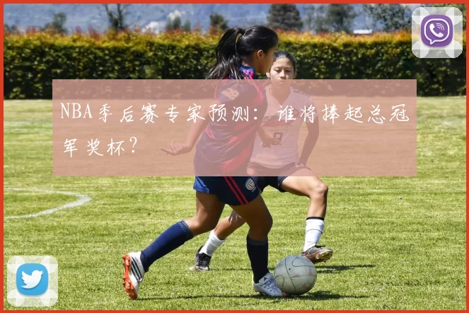 NBA季后赛专家预测：谁将捧起总冠军奖杯？