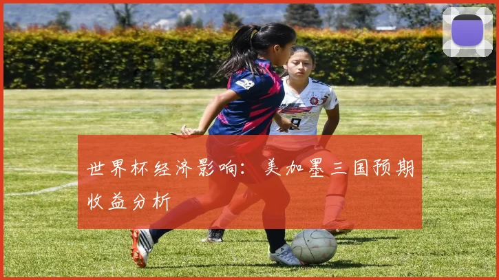 世界杯经济影响：美加墨三国预期收益分析