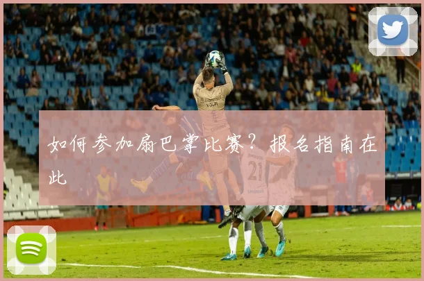 如何参加扇巴掌比赛？报名指南在此