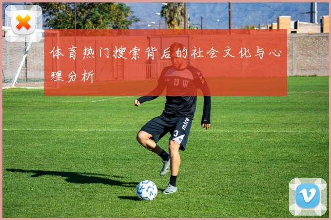 体育热门搜索背后的社会文化与心理分析