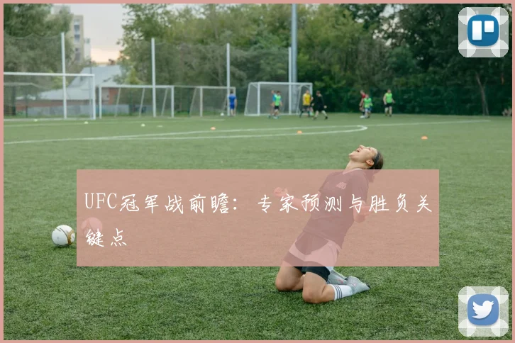 UFC冠军战前瞻:专家预测与胜负关键点