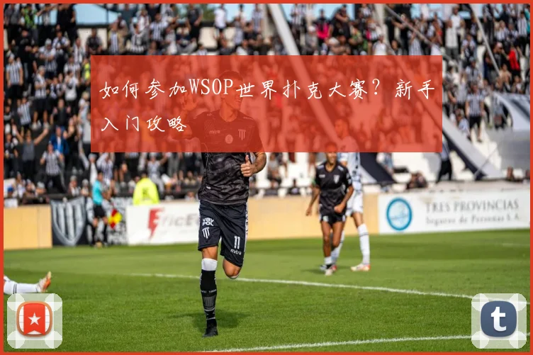 如何参加WSOP世界扑克大赛？新手入门攻略
