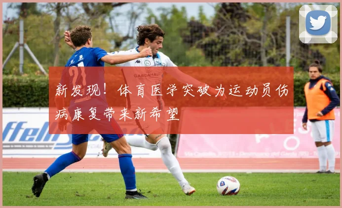 新发现!体育医学突破为运动员伤病康复带来新希望