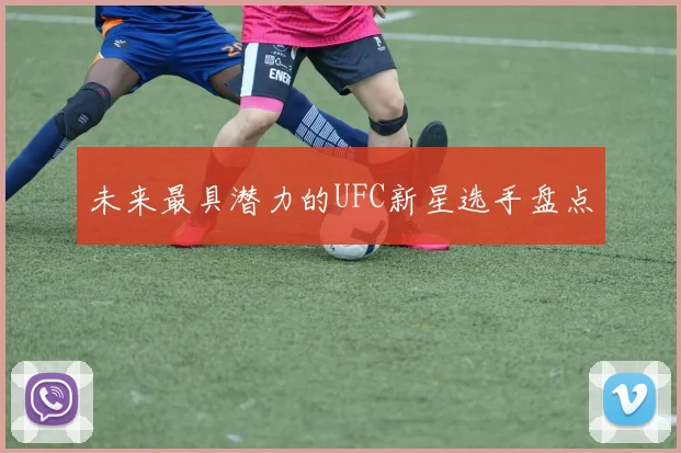 未来最具潜力的UFC新星选手盘点