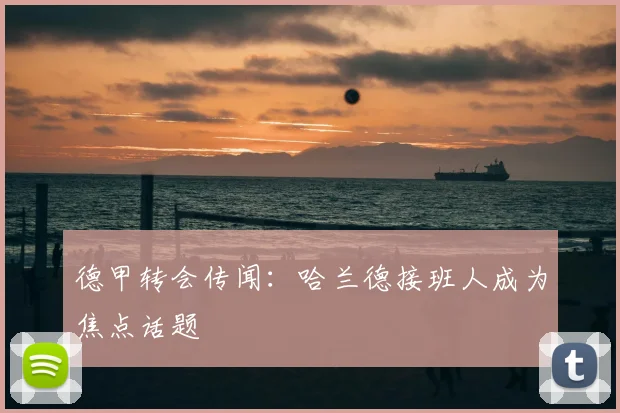 德甲转会传闻:哈兰德接班人成为焦点话题